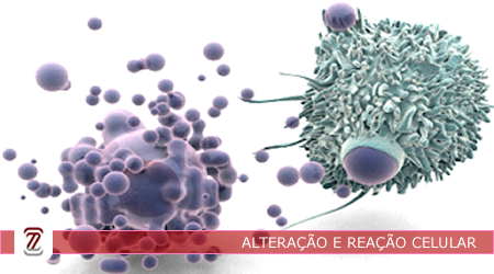 20241_NCP007_ALTERAÇÃO E REAÇÃO CELULAR_ALTERAÇÃO E REAÇÃO CELULAR - BIM