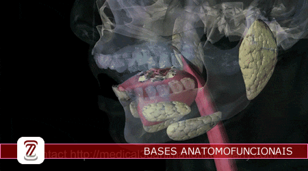 UCF111_BASES ANATOMOFUNCIONAIS - NOTURNO                                                                   