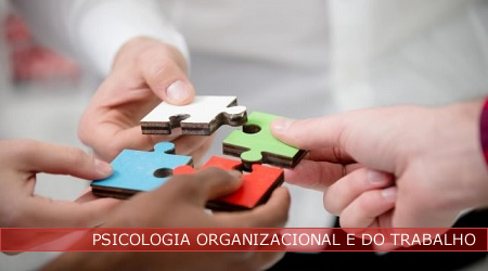 UCE284_PSICOLOGIA ORGANIZACIONAL E DO TRABALHO