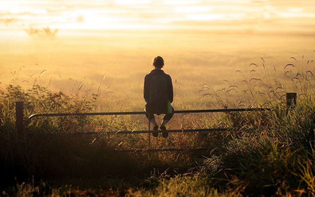 Unidade 7: DESENVOLVIMENTO HUMANO NA PESPECTIVA FRANKLIANA - 982.20211.93.01